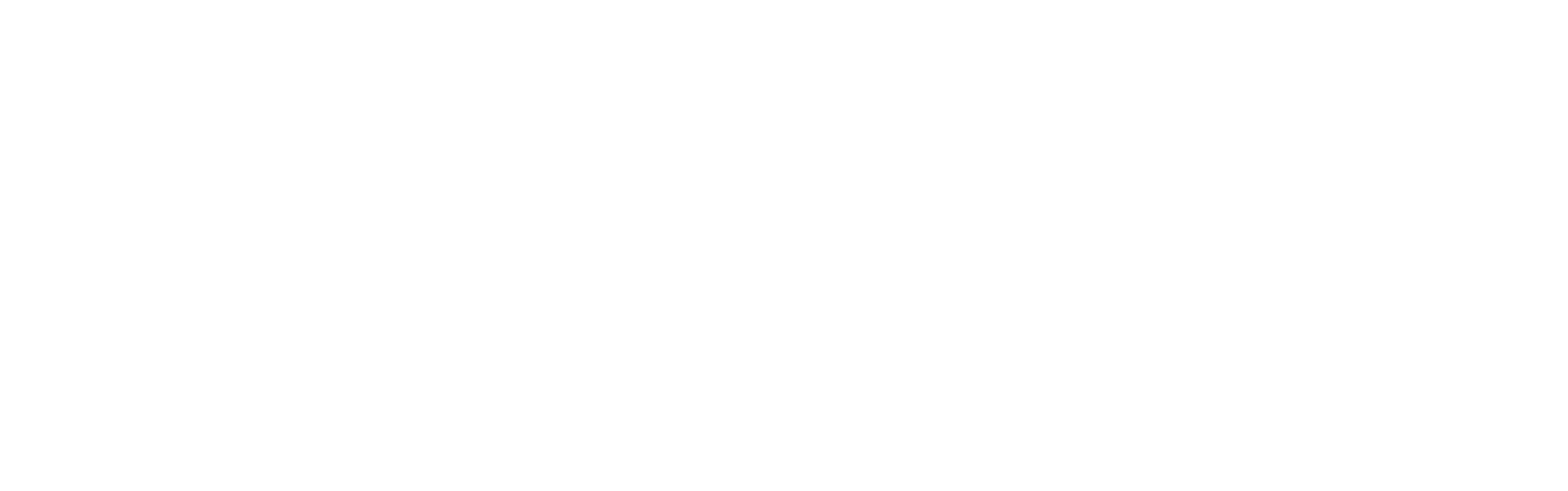 Dandesign